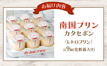 南国プリン「カタセボン(計9個)」 スイーツ 洋菓子 国産_T038-0031