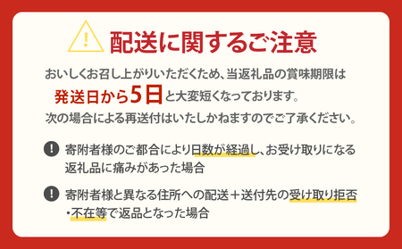 南国プリン「カタセボン(計9個)」 スイーツ 洋菓子 国産_T038-0031