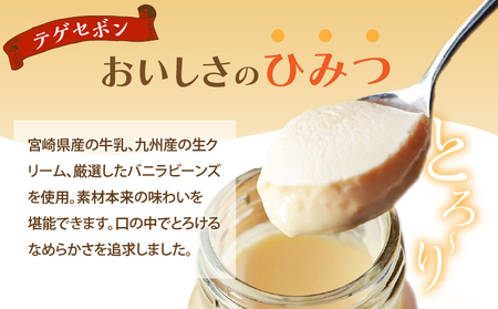 南国プリン「テゲセボン(計9個)」 スイーツ 洋菓子 国産_T038-0051