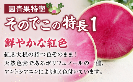 ＼ポスト投函／≪宮崎県産≫切干大根(紅芯大根-そのでこ-)計1袋 野菜 加工品 国産_T003-010