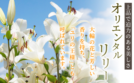 【2週間以内発送】「オリエンタルリリー ユリ」(ピンク) 計6本 生花 切花 百合 国産_T045-0021