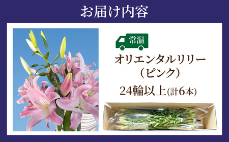 【2週間以内発送】「オリエンタルリリー ユリ」(ピンク) 計6本 生花 切花 百合 国産_T045-0021
