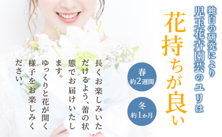 【2週間以内発送】≪期間限定≫LA ユリ(白) 約15本 生花 切花 百合 国産_T045-0041