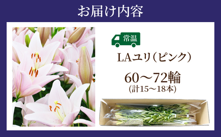 【2週間以内発送】≪期間限定≫LA ユリ(ピンク)約15本 ゆり 切花 百合 国産_T045-0051