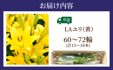 【2週間以内発送】≪期間限定≫LA ユリ(黄) 約15本 生花 切花 百合 国産_T045-0061