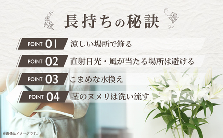 ≪期間限定≫LA ユリ(混合) 約15本 生花 切花 百合 国産_T045-008