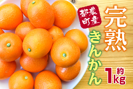 ふるさと納税 みかん レモン 柑橘類 のおすすめ返礼品 高還元率商品など 4ページ目 ふるさと納税 みかん レモン 柑橘類 のおすすめ返礼品 高還元率商品など 4ページ目