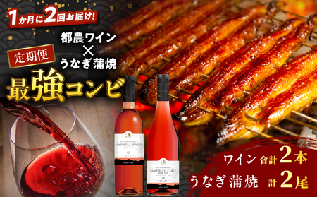 ≪定期便≫＼1か月に2回お届け!!／都農ワイン×うなぎ蒲焼★最強コンビ 酒 飲料 鰻 魚介 国産_T999-0031