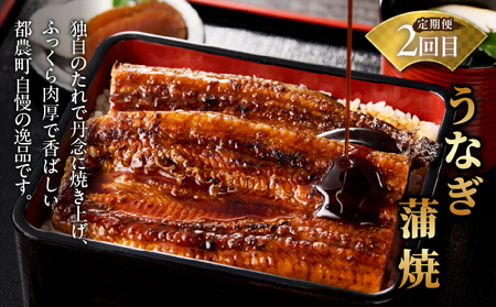 ≪定期便≫＼1か月に2回お届け!!／都農ワイン×うなぎ蒲焼★最強コンビ 酒 飲料 鰻 魚介 国産_T999-0031