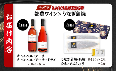 ≪定期便≫＼1か月に2回お届け!!／都農ワイン×うなぎ蒲焼★最強コンビ 酒 飲料 鰻 魚介 国産_T999-0031