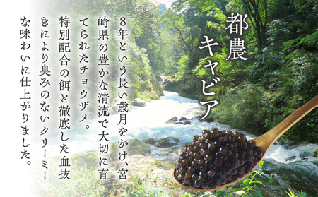 【2週間以内発送】都農キャビア(計10g) 魚 魚介 魚卵 国産_T047-0011