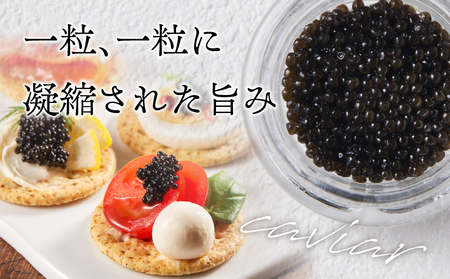 【2週間以内発送】都農キャビア(計10g) 魚 魚介 魚卵 国産_T047-0011