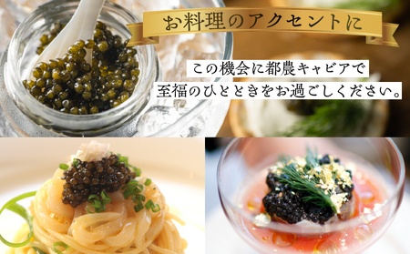 【2週間以内発送】都農キャビア(計10g) 魚 魚介 魚卵 国産_T047-0011