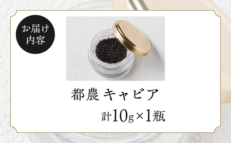 【2週間以内発送】都農キャビア(計10g) 魚 魚介 魚卵 国産_T047-0011
