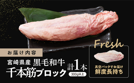 【超希少】宮崎県産黒毛和牛千本筋ブロック(計300g以上) 肉 牛 牛肉 国産_T023-0151