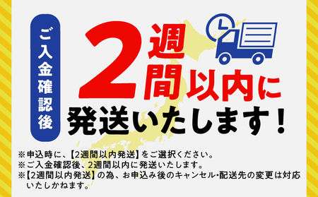 【2週間以内発送】宮崎県産黒毛和牛切り落とし(焼肉用)計500g 肉 牛 牛肉 国産_T023-0161