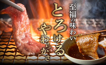 【2週間以内発送】宮崎県産黒毛和牛切り落とし(焼肉用)計500g 肉 牛 牛肉 国産_T023-0161