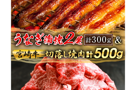 B111-1229 《年末年始お楽しみ企画》うなぎ蒲焼2尾&宮崎牛切落し焼肉500gセット(合計800g)