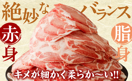 【令和6年12月配送】宮崎県産豚肩ローススライス計2.4kg 肉 豚 豚肉 おかず 国産 _T009-008-612【人気  肉 ギフト 肉 食品 お肉 しゃぶしゃぶ  肉 贈り物  肉  お土産  肉 送料無料 肉 プレゼント 肉 国産豚  肉 ポーク  肉   BBQ 肉 都農町 肉 宮崎県産 肉 最新ランキング 肉 】