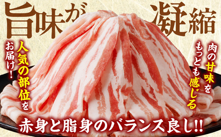 【2週間以内発送】宮崎県産豚バラスライス計1kg 肉 豚 豚肉 おかず 国産_T009-0113-2W