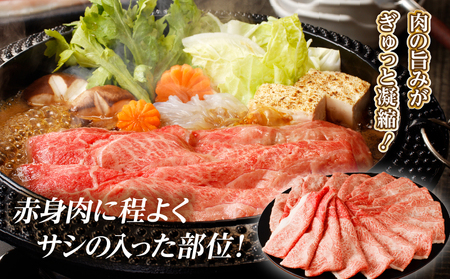 【令和7年3月配送】「宮崎牛肩(ウデ)すき焼き用」計1kg 肉 牛 牛肉 おかず 国産_T009-015-703