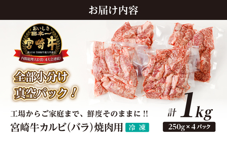 【令和7年2月配送】全部小分け真空パック!!「宮崎牛カルビ(バラ)焼肉用」計1kg 肉 牛 牛肉 おかず 国産_T041-007-702【人気 肉 ギフト 肉 食品 肉 お肉 肉 ステーキ 肉 BBQ 肉 お土産 肉 贈り物 肉 送料無料 肉 プレゼント 肉 国産牛 肉 ビーフ 肉 焼き肉 肉 宮崎県産 肉 最新ランキング】