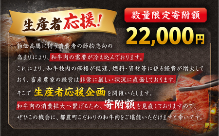 【令和7年2月発送】≪生産者応援≫宮崎牛切り落とし(焼肉用)計1kg 肉 牛 牛肉 国産_T030-077-702【農の都BBQ特集 】