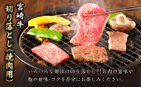 【令和7年2月発送】≪生産者応援≫宮崎牛切り落とし(焼肉用)計1kg 肉 牛 牛肉 国産_T030-077-702【農の都BBQ特集 】