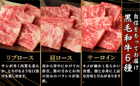 生産者応援≪訳あり≫黒毛和牛(経産牛)6種焼肉セット(合計600g) 肉 牛 牛肉 おかず 国産_T030-1203