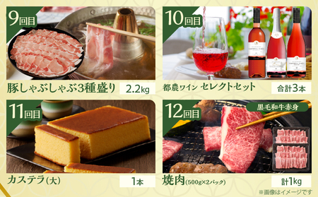 ≪12か月お楽しみ定期便≫都農町定期便(梅) 肉 加工品 デザート 国産_T999-0083