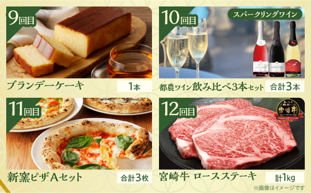 ≪12か月お楽しみ定期便≫都農町定期便(竹) 肉 加工品 デザート 国産_T999-0093