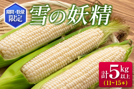 AA35 とうもろこし『雪の妖精』計5kg(都農町産)