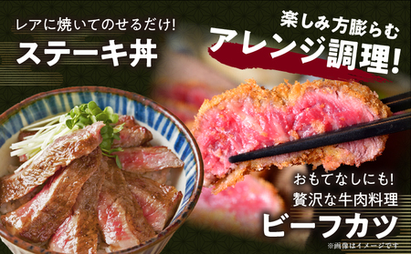 宮崎牛サーロインステーキ(計400g) 肉 牛 牛肉 国産_T050-0011