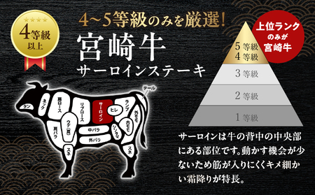 宮崎牛サーロインステーキ(計400g) 肉 牛 牛肉 国産_T050-0011