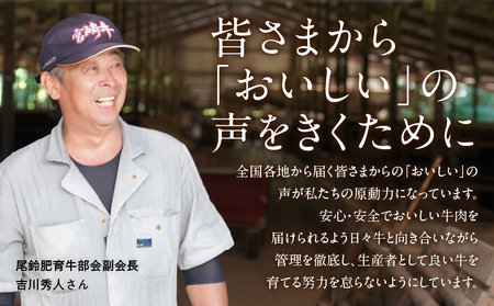 宮崎牛サーロインステーキ(計400g) 肉 牛 牛肉 国産_T050-0011