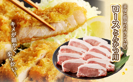 宮崎県産豚ロース・ヒレ『とんかつ用』合計2kg 肉 豚 豚肉 国産_T041-0102