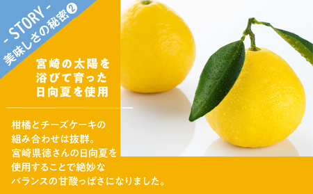 【2週間以内発送】農の都で生まれた「都のチーズケーキ」計1個 スイーツ 洋菓子 国産_T038-0095
