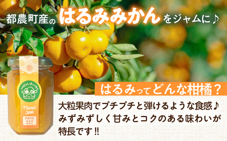 TSUNO JAMはるみみかん(計1個) ジャム 果物 柑橘 加工品 国産_T043-0081