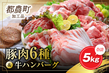 AB81 お楽しみ『豚肉6種&牛ハンバーグセット』合計5kg(都農町加工品)