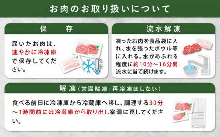宮崎県産豚肉6種盛り合わせセット(合計4.1kg) 肉 豚 豚肉 おかず 国産_T030-204