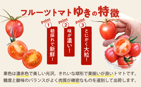 先行予約≪期間限定≫オリジナルブランド「フルーツトマトゆき」計2kg ミニトマト 野菜 サラダ 国産_T047-0041