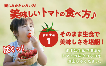 先行予約≪期間限定≫オリジナルブランド「フルーツトマトゆき」計2kg ミニトマト 野菜 サラダ 国産_T047-0041