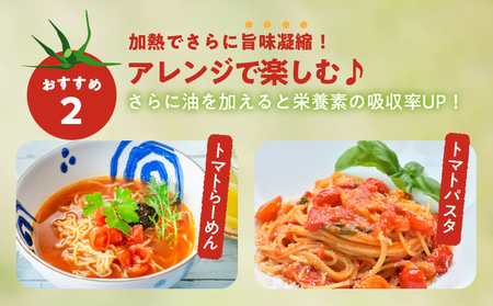 先行予約≪期間限定≫オリジナルブランド「フルーツトマトゆき」計2kg ミニトマト 野菜 サラダ 国産_T047-0041