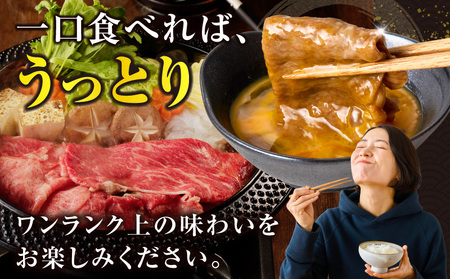 ≪肉質等級4等級以上≫黒毛和牛赤身スライス(計1.5kg) 肉 牛 牛肉 おかず 国産_T030-0903