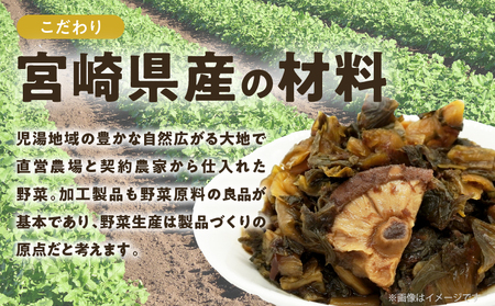 \ポスト投函/こだわり醤油高菜(PURE) 計1袋 (80g) 漬物 おかず 野菜 加工品 国産_T025-020