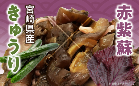 ＼ポスト投函／しば漬け 計1袋 (150g) 漬物 おかず 野菜 加工品 国産_T025-021