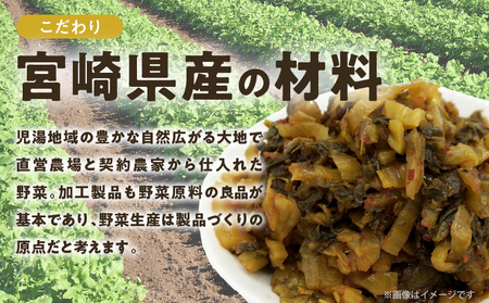 \ポスト投函/ピリ辛高菜 計1袋 (150g) 漬物 おかず 野菜 加工品 国産_T025-022