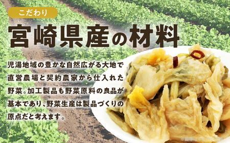 \ポスト投函/白菜古漬け(昆布味) 計1袋 (100g) 漬物 おかず 野菜 加工品 国産_T025-023