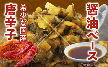 ＼ポスト投函／旨ごま高菜＆ピリ辛高菜セット 計2袋(各120g) 漬物 おかず 野菜 加工品 国産_T025-026