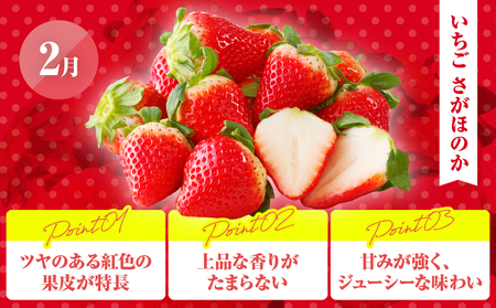 ≪定期便全4回≫2月・6月・9月・12月お届け!!４種フルーツ定期便★フルーツ 果物 デザート 国産_T015-009